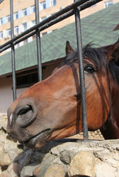 Similar image 21434190