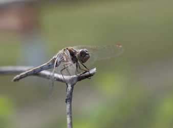 Similar image 21434194