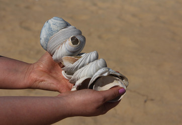 Similar image 21434196