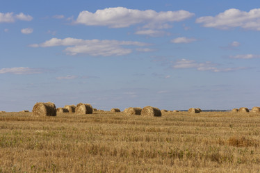 Similar image 21442285