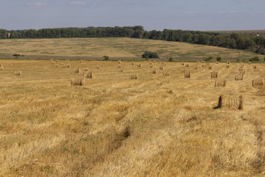 Similar image 21442286