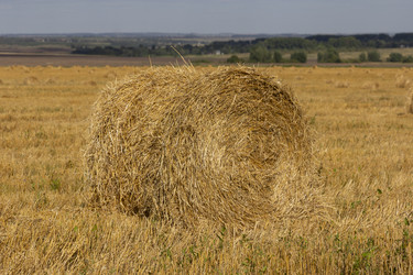 Similar image 21442288