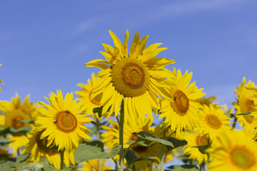 Similar image 21435373