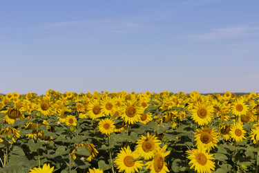 Similar image 21435374