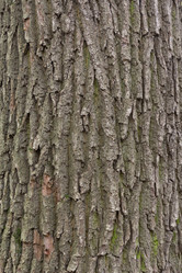 Similar image 21442302