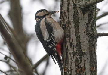 Similar image 21434205