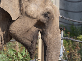 Similar image 21434211