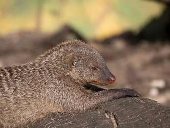 Similar image 21434212