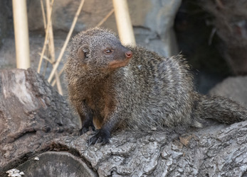 Similar image 21434215