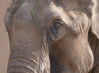 Similar image 21434217