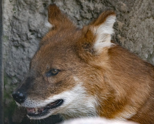 Similar image 21434218