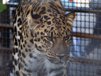 Similar image 21434219