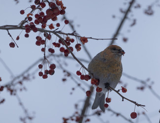 Similar image 21435799