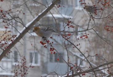 Similar image 21435807