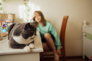 Similar image 21463864