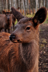 Similar image 21433449