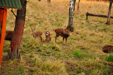 Similar image 21433451