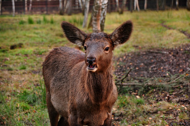 Similar image 21435832