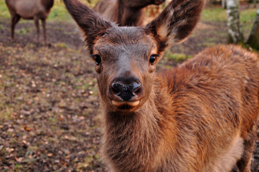 Similar image 21436309