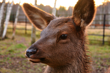 Similar image 21436311