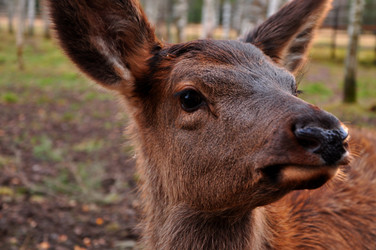 Similar image 21436313