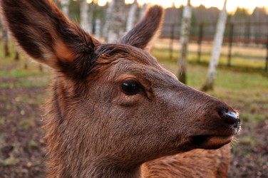 Similar image 21436507