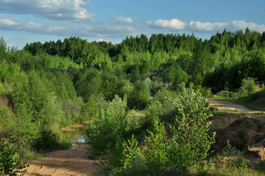 Similar image 21436508