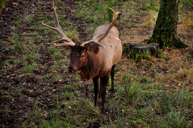 Similar image 21436509