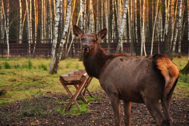 Similar image 21436511