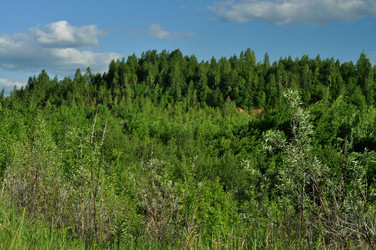 Similar image 21436512