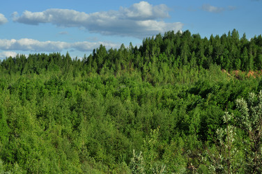 Similar image 21436514