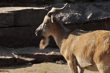 Similar image 21444695