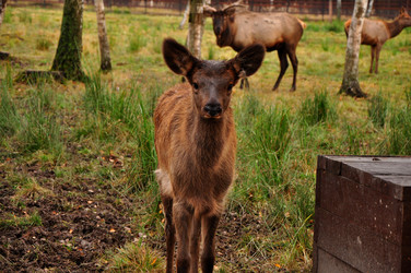 Similar image 21444696