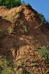 Similar image 21458998