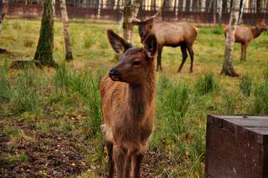 Similar image 21462983