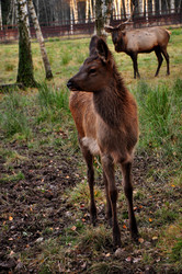 Similar image 21478444