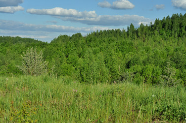 Similar image 21478447