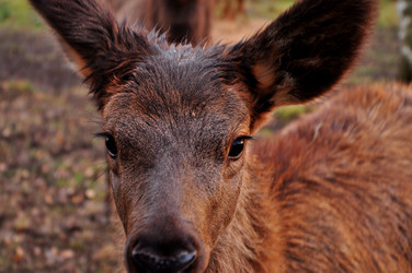 Similar image 21478448