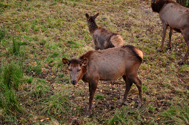 Similar image 21478450