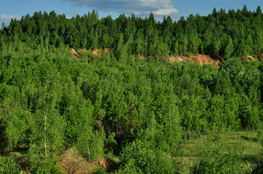 Similar image 21478451