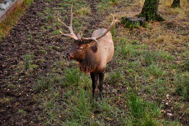 Similar image 21478452