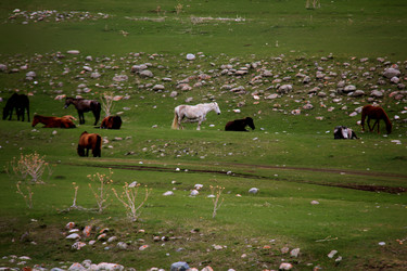 Similar image 21433452