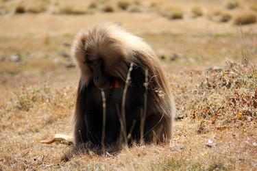 Similar image 21435834