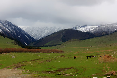 Similar image 21435901