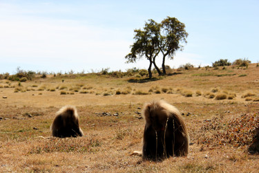 Similar image 21436315