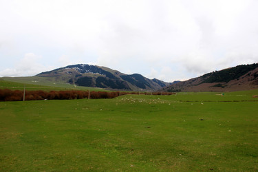 Similar image 21436316