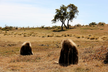 Similar image 21436317