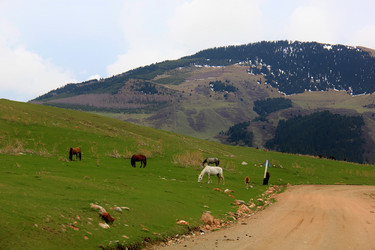 Similar image 21436318