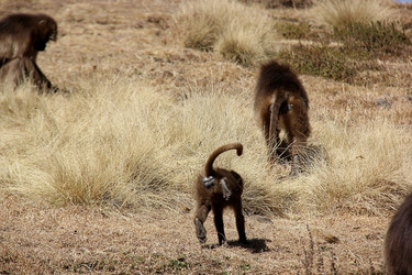 Similar image 21436319