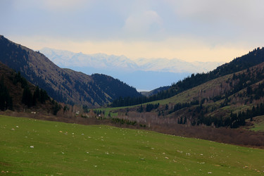 Similar image 21436320